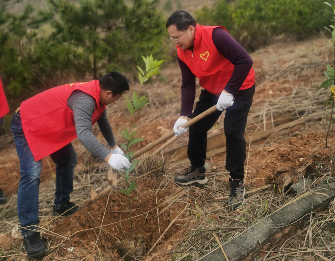 植此青绿 共建生态家园